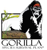 Gorrilla SSP Logo